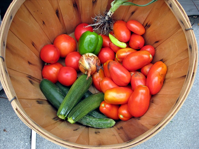 0340_20090719_1639_2009 Garden.jpg